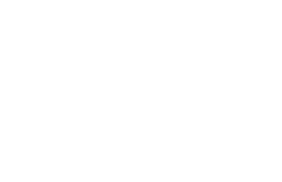 As I sit and write this, with a flask of coffee in my camper van, overlooking the view of the estuary it's easy to understand why this is essential. As dog-walkers and runners go by I can see that our beautiful natural environment is important to the lives of many of you. I'm a strong believer in the positive impact nature has on our well-being however the more important reason is out there, mostly on and under the water, the wildlife that call our estuary home.  I keep glancing up as I write distracted by the call of birds going about their everyday life right here, just a stone’s throw away from the town centre. The Neighbourhood Plan recognises that this estuary is an important feeding and breeding ground for birds and as a Special Protection Area and a Site of Special